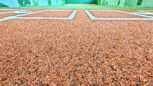 20210203133857514.jpg