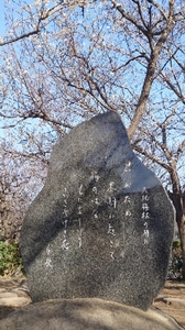 20210212171443674.jpg