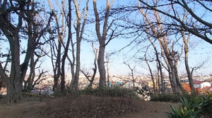 20210218184719119.jpg