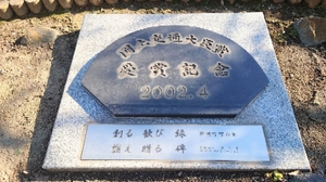 20210222135701197.jpg