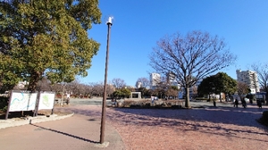 20210223134646365.jpg