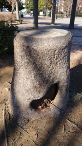 20210223135141860.jpg