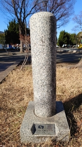 20210223180011623.jpg