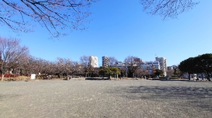 20210224141709070.jpg