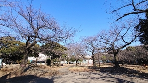 20210224142323810.jpg