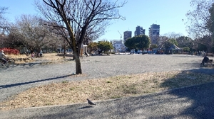 20210224142435333.jpg