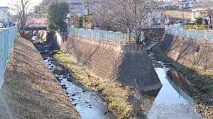 20210227190414221.jpg