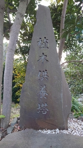 20210303133915354.jpg