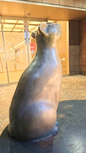 20210307175222523.jpg