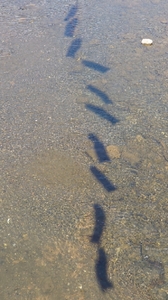 20210428151207273.jpg