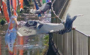 20210429165404994.jpg