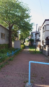 20210502164024393.jpg