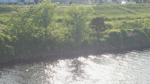 20210503161456170.jpg