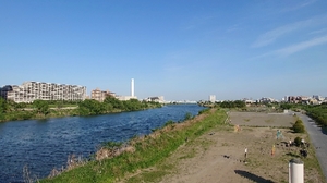20210504132801624.jpg