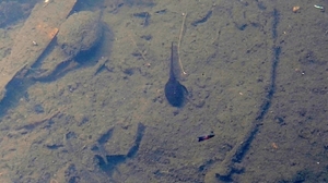 20210506175419678.jpg