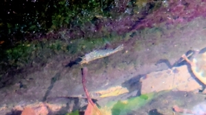 20210506175537044.jpg