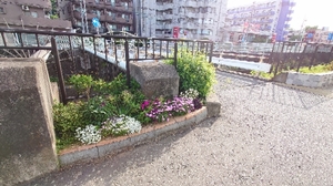 20210507181945215.jpg
