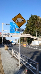 20210510131304018.jpg