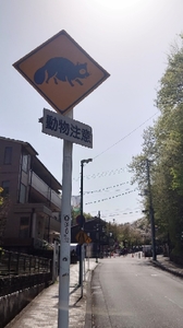 20210510132340525.jpg