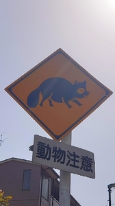 20210510135429498.jpg