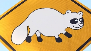 20210510135435760.jpg