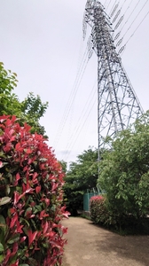 20210513121203259.jpg