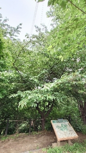 20210513164607191.jpg