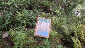 20210514134008585.jpg