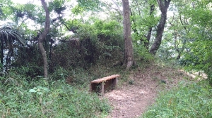 20210514135135696.jpg
