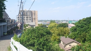 20210515132158201.jpg