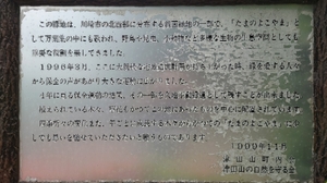 20210517181959963.jpg