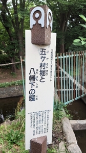 20210608143835044.jpg