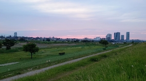 20210615191730321.jpg