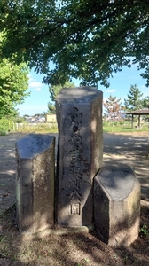 20210801153344812.jpg