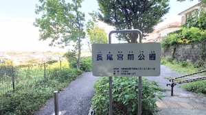 20210804184047594.jpg