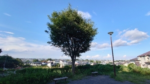 20210804185247391.jpg