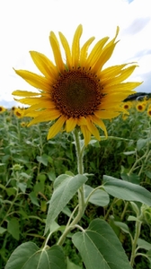 20210820214027424.jpg