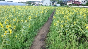 20210821214541671.jpg