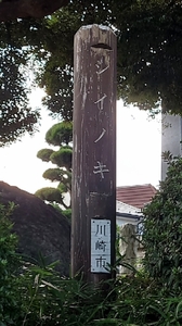 20210917190443590.jpg