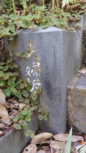 20210924180721259.jpg