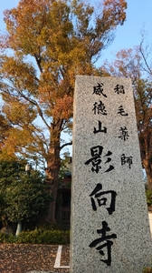 20211109160404042.jpg
