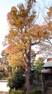 20211109160714557.jpg