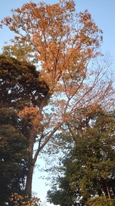 20211109160834243.jpg