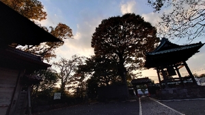 20211109162200353.jpg