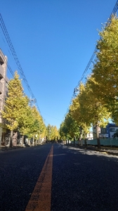 20211116154524063.jpg