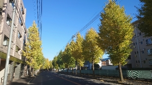 20211116154613156.jpg