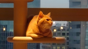 20211118093109233.jpg