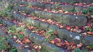 20211125112148314.jpg