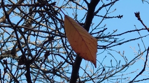 20211125112745657.jpg