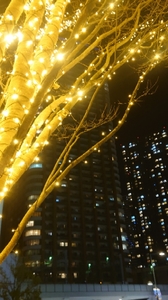 20211221175757440.jpg